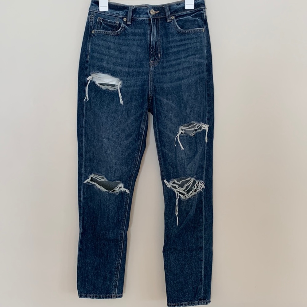AE Distressed Mom Jeans